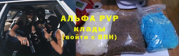 стаф Белокуриха