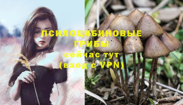 таблы Белоозёрский