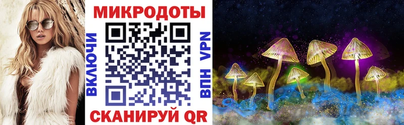 Галлюциногенные грибы Magic Shrooms Выборг
